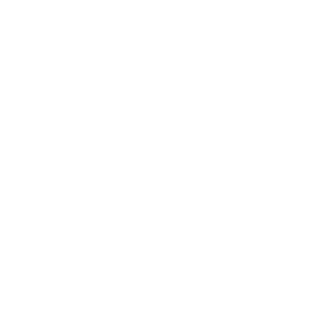 Nous Livrons en France par Lettre Suivie pour un délai moyen de 48h (sauf retard Poste).